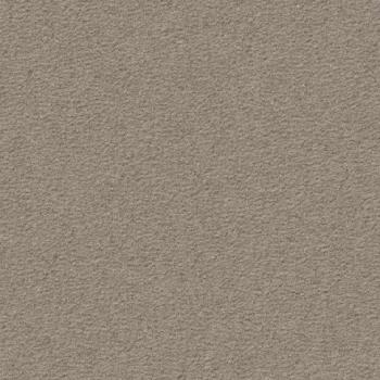 Vorwerk Modena 5V23 Teppichboden – Draufsicht auf die 100 m² Großrolle mit robuster Objektstruktur
